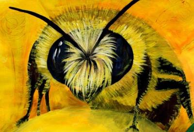 Вентспилс посетила выставка рисунков пчёл