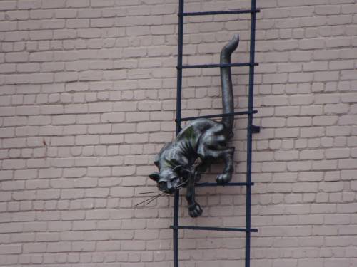 Фигура кота на стене дома в Парвенте