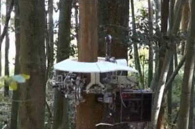 Читать новость В Японии был создан робот-лесоруб