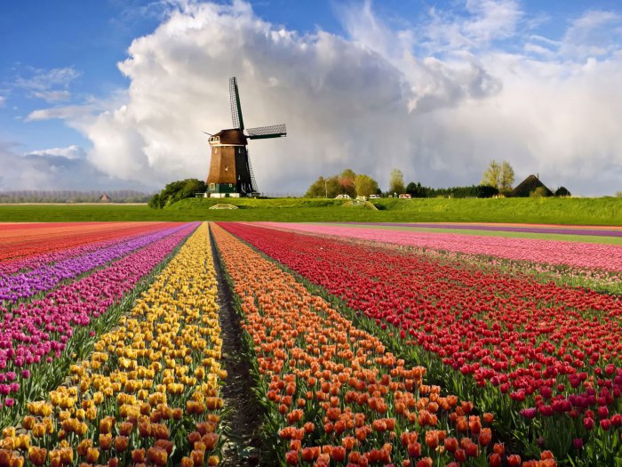Как организовать путешествие в Голландию самостоятельно