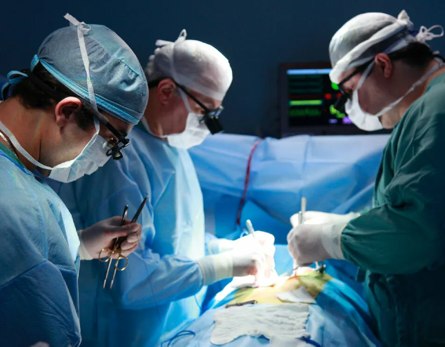 Медицинский сертификат: где учат на хирургов?