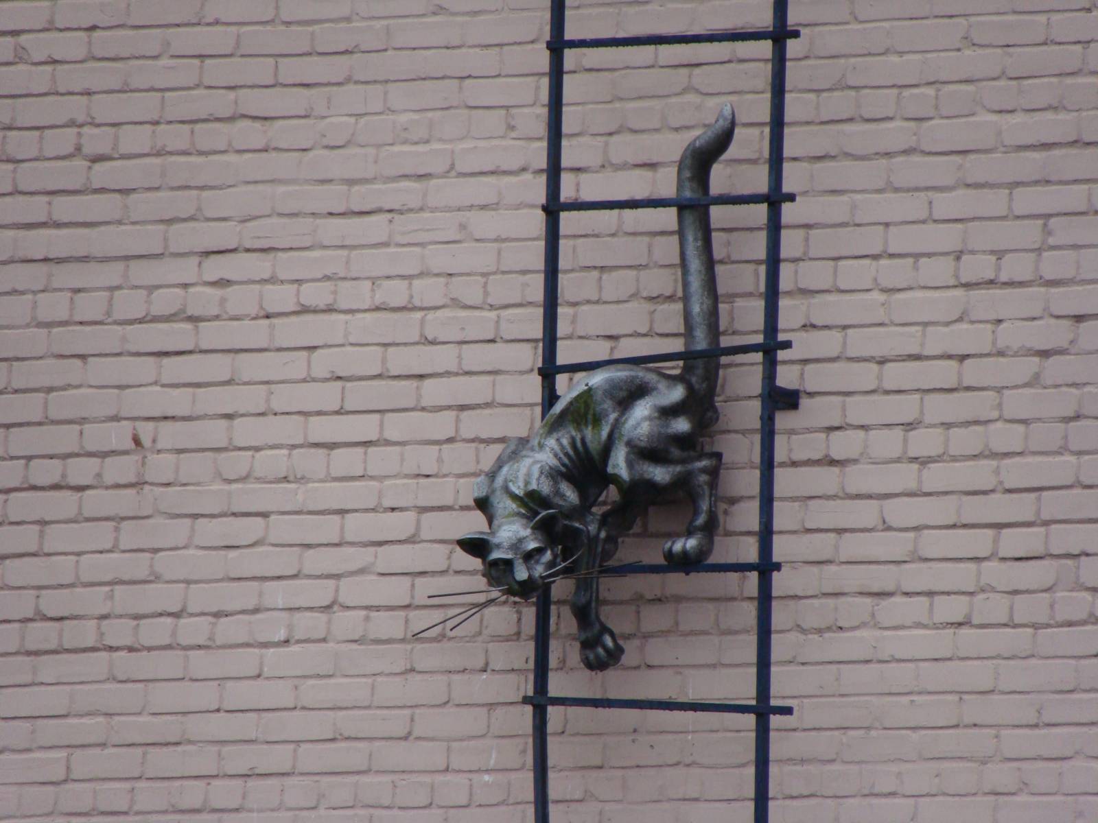 Смотреть фото Фигура кота на стене дома в Парвенте