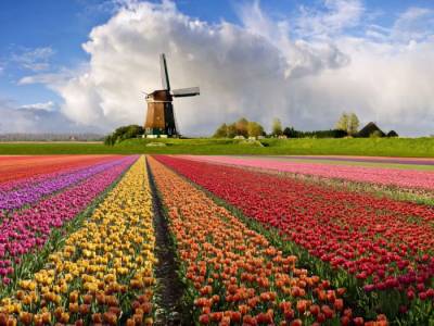 Читать новость Как организовать путешествие в Голландию самостоятельно
